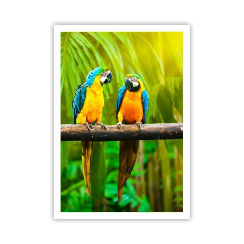 Plakat - A słyszałaś, że ona…? - 70x100 cm