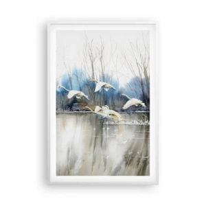 Plakat w białej ramie - Jak w baśni o dzikich łabędziach - 61x91 cm