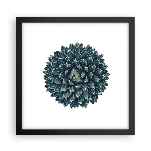Plakat w czarnej ramie - Gwiazda pustyni - 30x30 cm