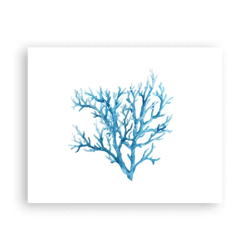 Plakat - Morski filigran - 50x40 cm