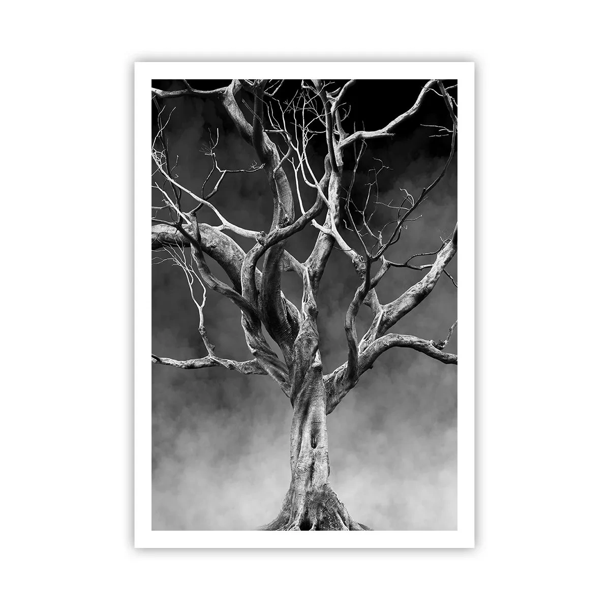 Plakat - Pierwotne i święte - 70x100 cm