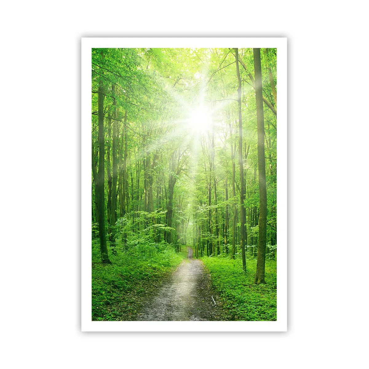 Plakat - Zielona katedra - 70x100 cm