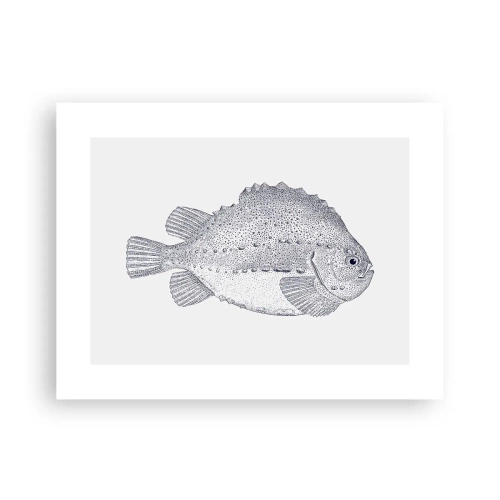 Plakat - Do albumu przyrodnika - 40x30 cm