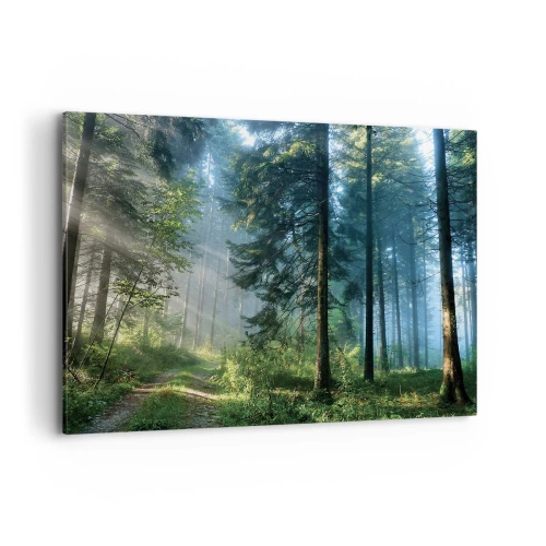 Obraz na płótnie - Leśna ścieżka oświetlona promieniami porannego słońca - 100x70cm - Rozpromieniony o poranku - Nowoczesna dekoracja ścienna do salonu, kuchni i sypialni ARTTOR