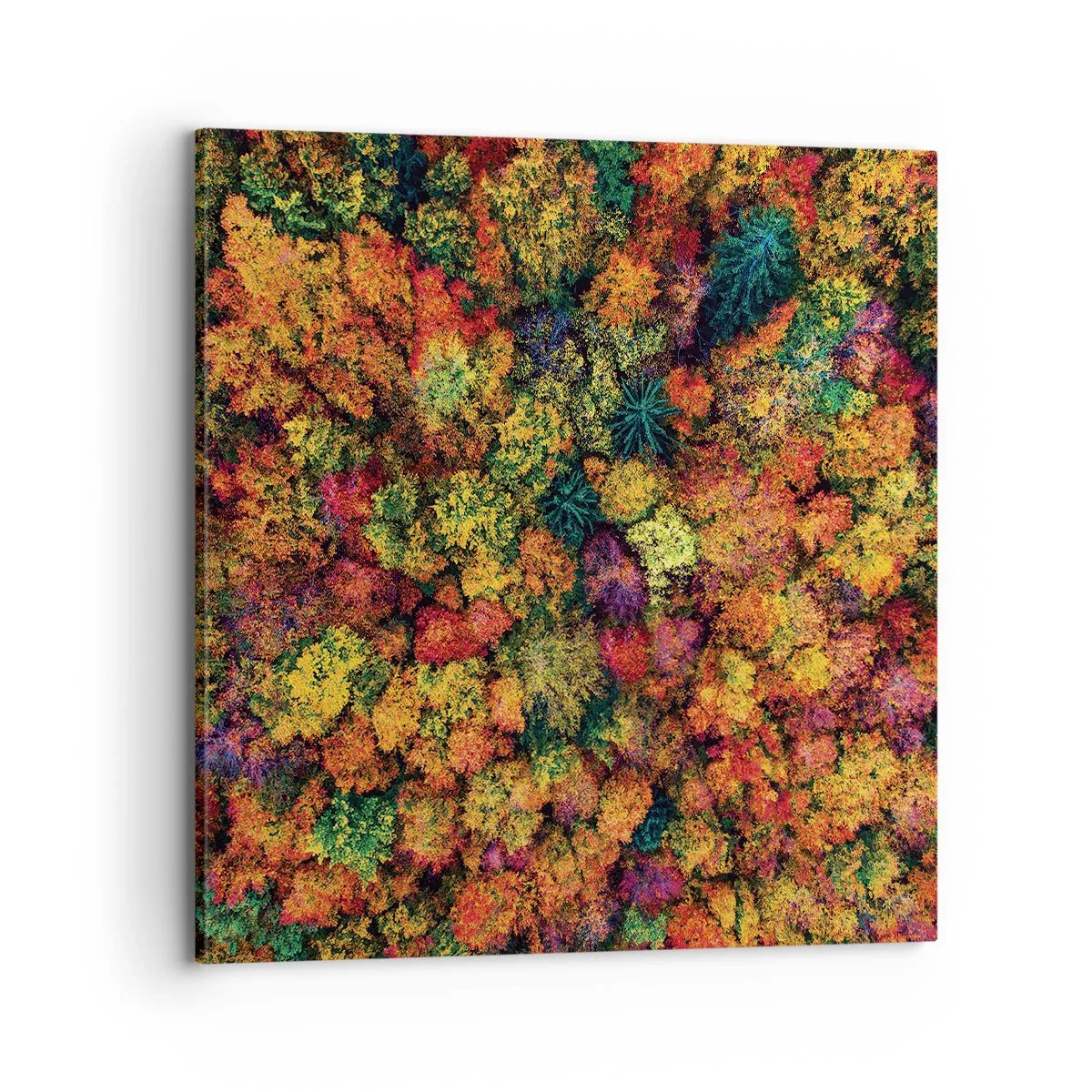 Obraz na płótnie - Bukiet jesiennych drzew - 70x70 cm