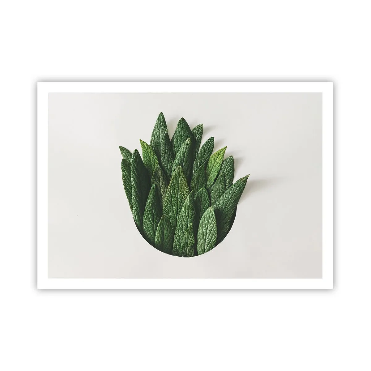Plakat - Kompozycja zielonych liści na jasnym tle - 100x70cm - Nieposkromiona ciekawość - Nowoczesna dekoracja ścienna do salonu i sypialni ARTTOR