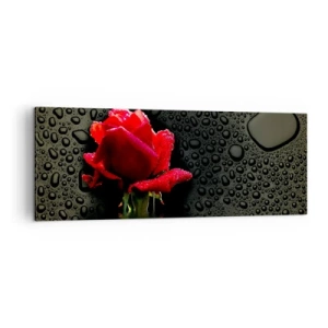Obraz na płótnie - Czerwona róża z kroplami wody na tle ciemnym - 140x50cm - Czerwone i czarne - Nowoczesna dekoracja ścienna do salonu i sypialni ARTTOR