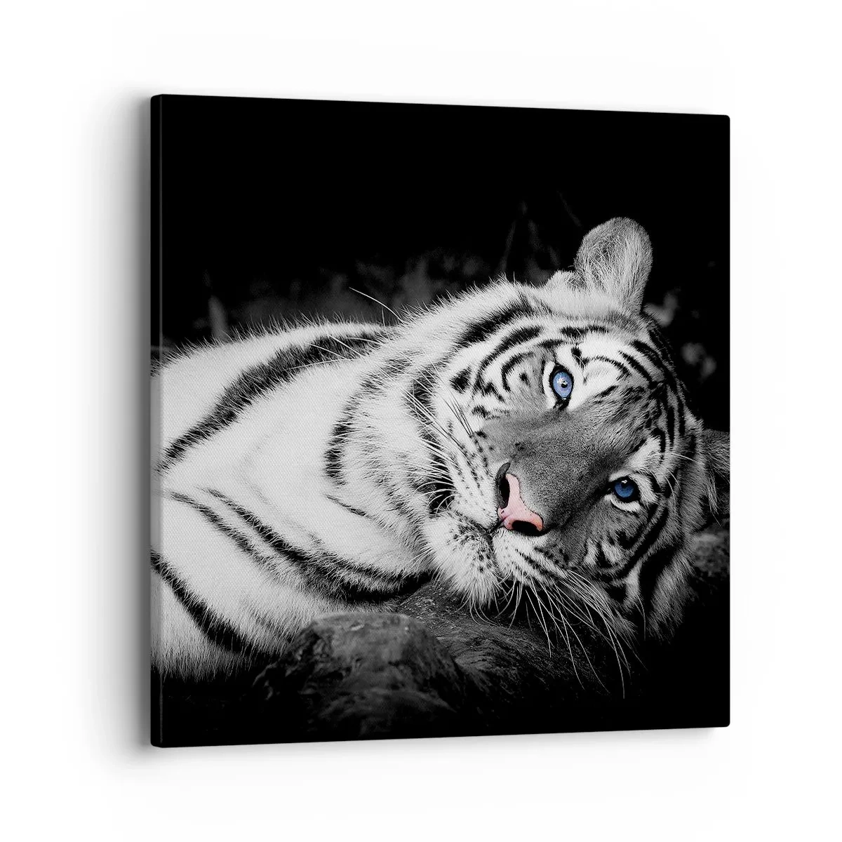 Obraz na płótnie - Dzikość i spokój - 40x40 cm