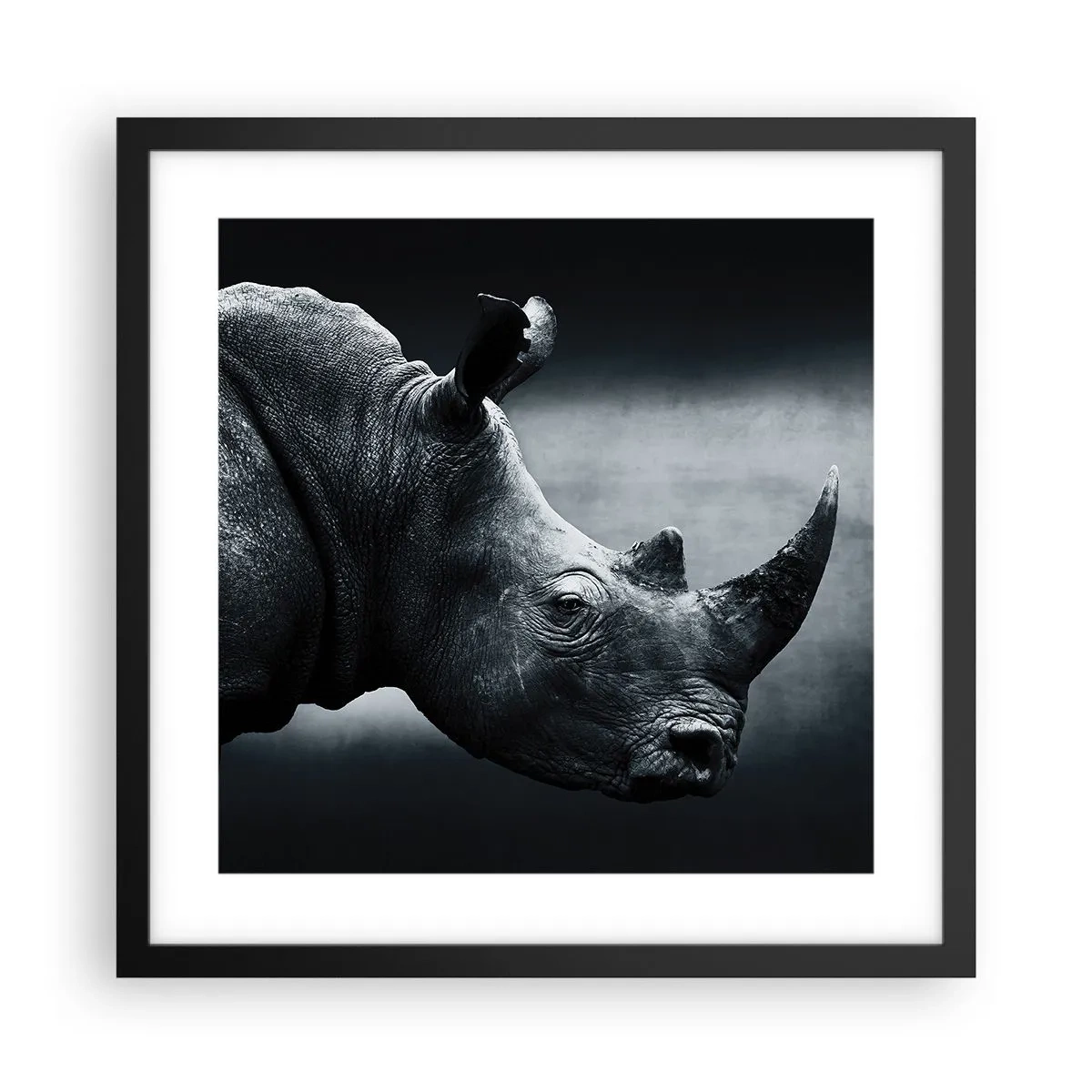 Plakat w czarnej ramie - Prawy profil - 40x40 cm