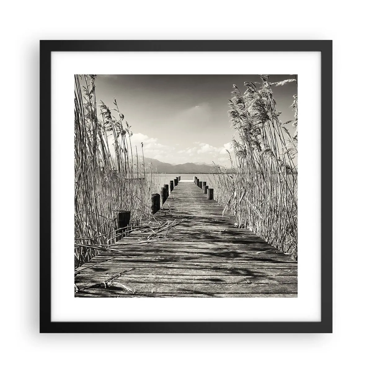 Plakat w czarnej ramie - W zaciszu traw - 40x40 cm