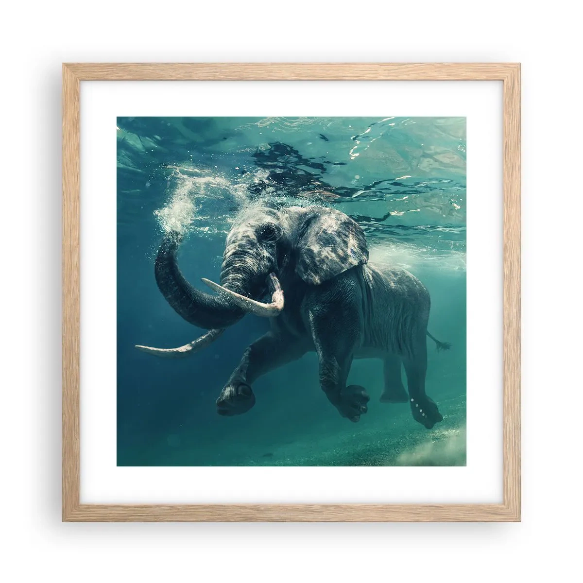 Plakat w ramie jasny dąb - Wszyscy lubią pływać - 40x40 cm