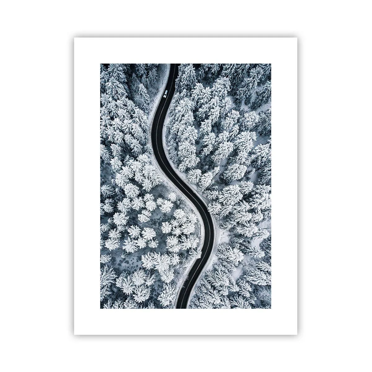 Plakat - Przez zimowy las - 30x40 cm
