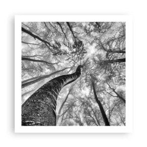 Plakat - Wyścig do światła - 60x60 cm