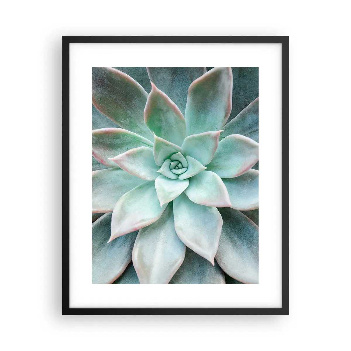 Plakat w czarnej ramie - Serce pustyni - 40x50 cm