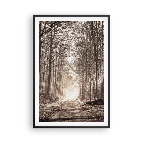 Plakat w czarnej ramie - Leśna katedra - 61x91 cm
