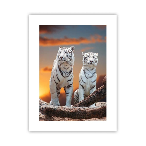 Plakat - Zupełnie jak w Narni - 30x40 cm