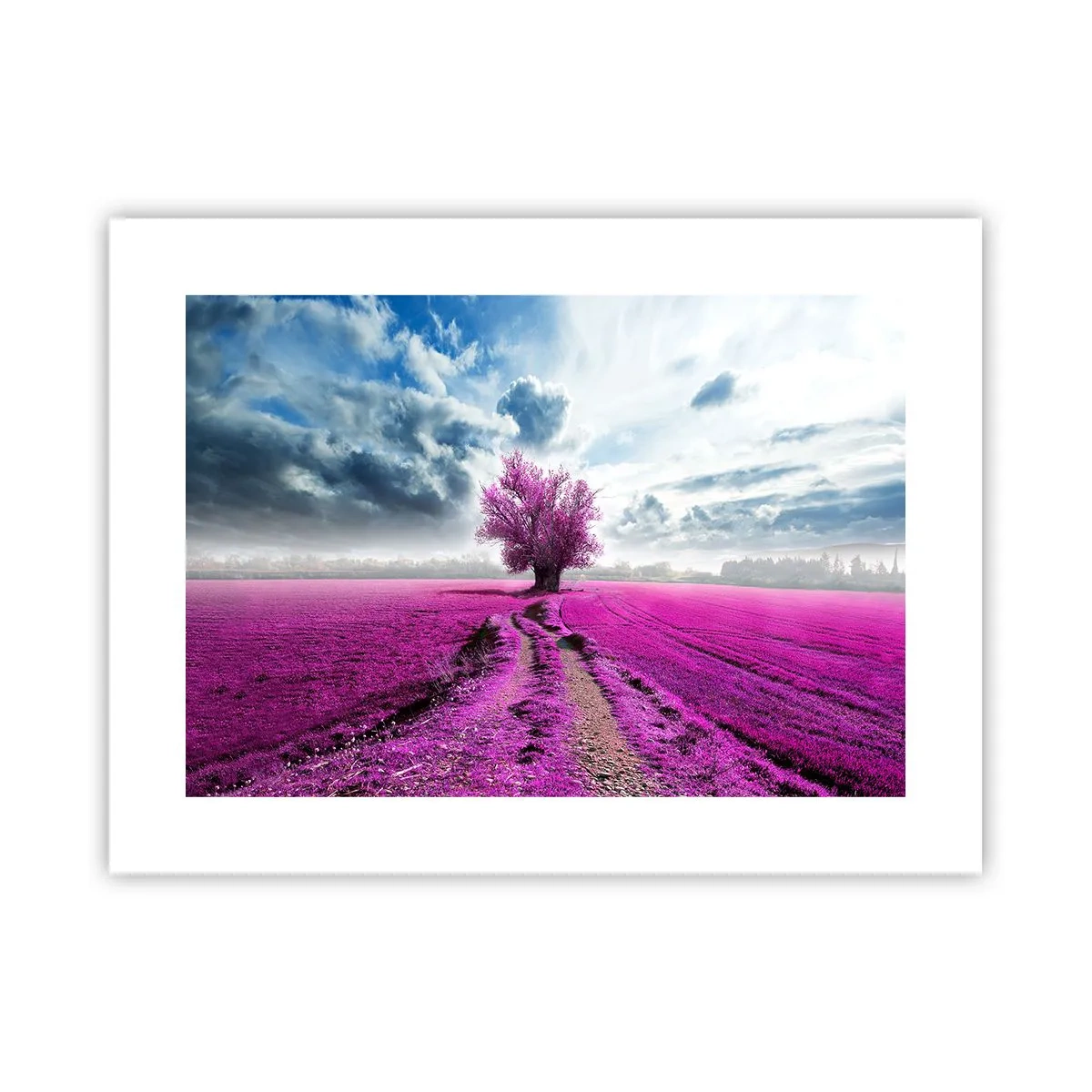 Plakat - Wrzosowisko - uroczysko - 40x30 cm