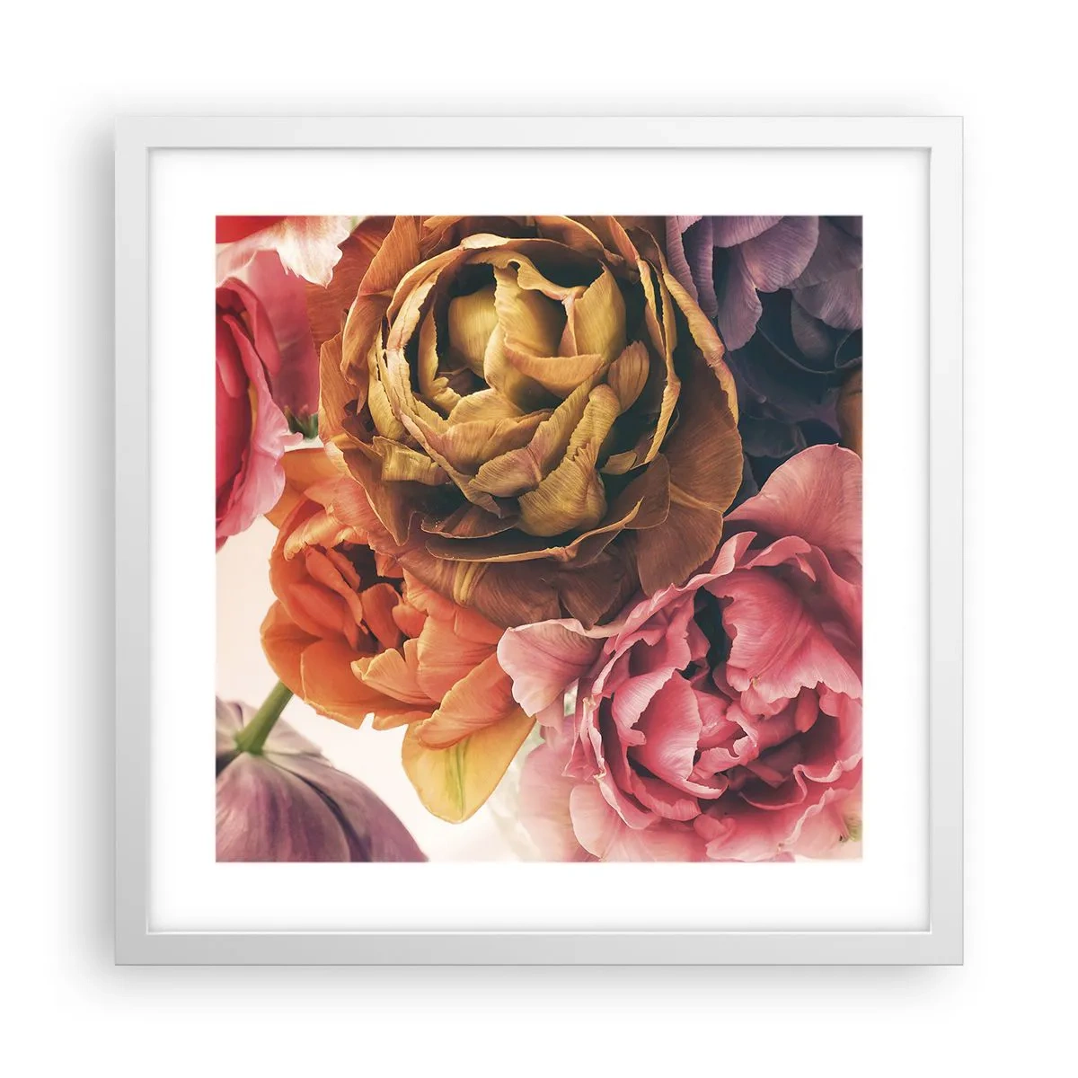 Plakat w białej ramie - Święto życia - 40x40 cm