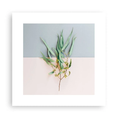 Plakat - Pastelowa subtelność - 30x30 cm