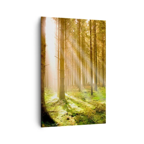 Obraz na płótnie - Las iglasty z promieniami słońca przebijającymi przez drzewa - 80x120cm - Zaraz pojawią się elfy - Nowoczesna dekoracja ścienna do salonu i sypialni ARTTOR