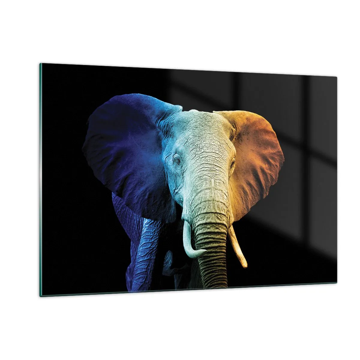 Obraz na szkle - Kolorowy portret słonia na czarnym tle - 120x80cm - Ekscentryk, nie dziwak - Nowoczesna dekoracja ścienna do salonu, kuchni i sypialni ARTTOR