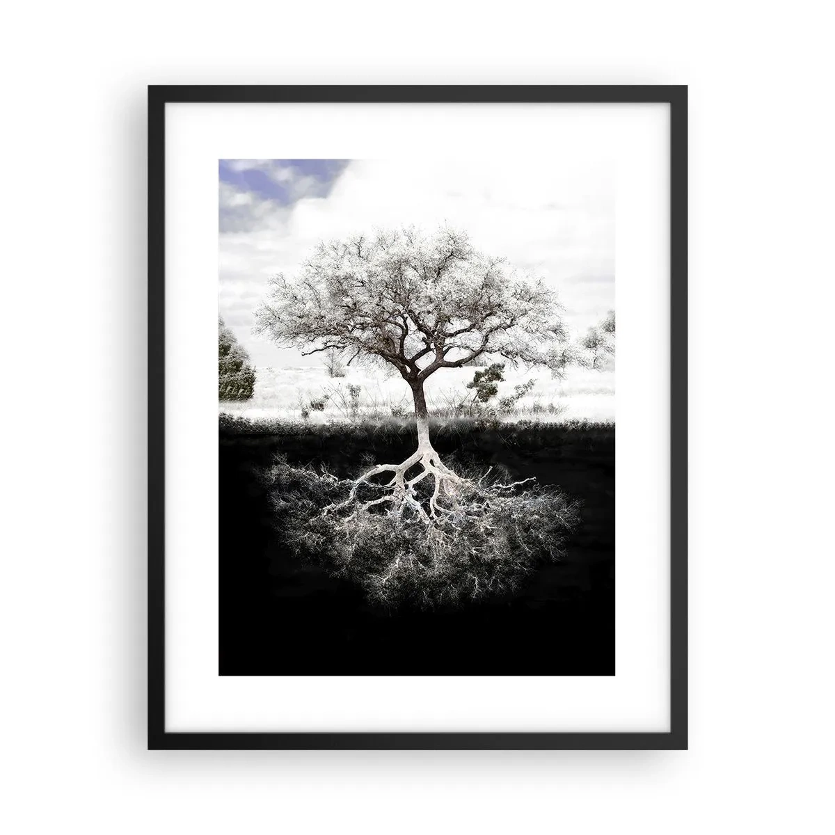 Plakat w czarnej ramie - Odkrycie natury świata - 40x50 cm