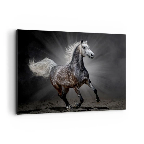 Obraz na płótnie - Biały koń w galopie na ciemnym tle - 120x80cm - Szare jest piękne - Nowoczesna dekoracja ścienna do salonu, kuchni i sypialni ARTTOR