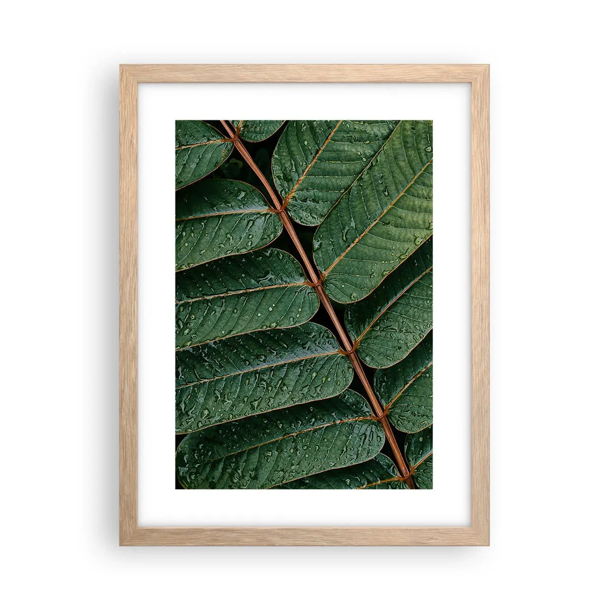 Plakat w ramie jasny dąb - W zielonym rytmie - 30x40 cm