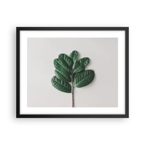 Plakat w czarnej ramie - Rysunek samej natury - 50x40 cm