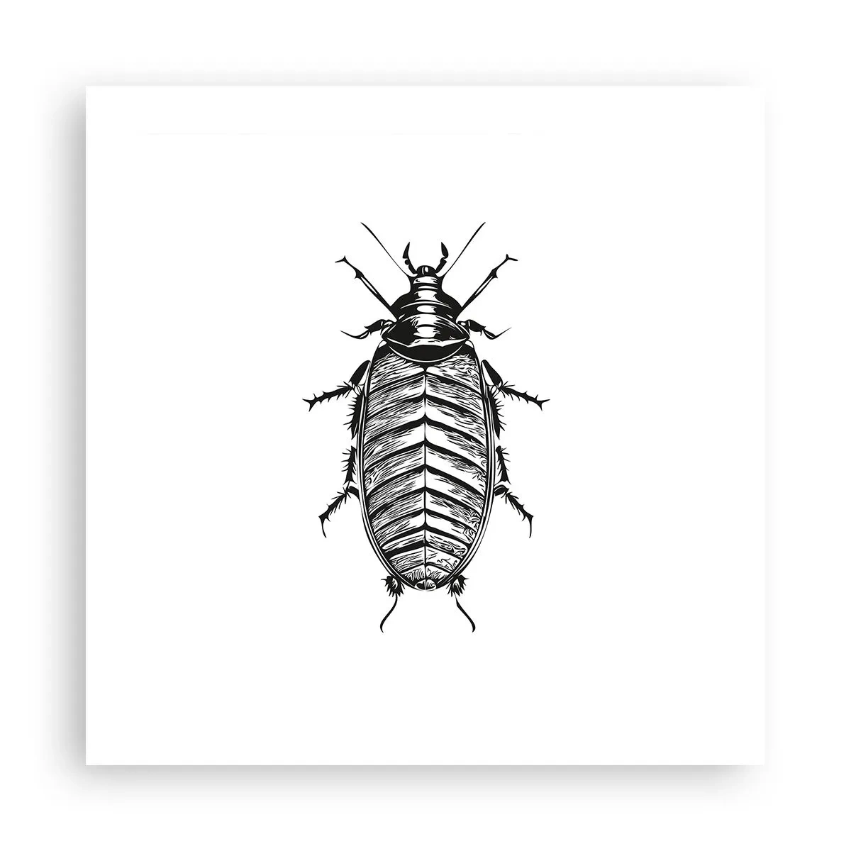 Plakat - Co za okaz! - 50x50 cm