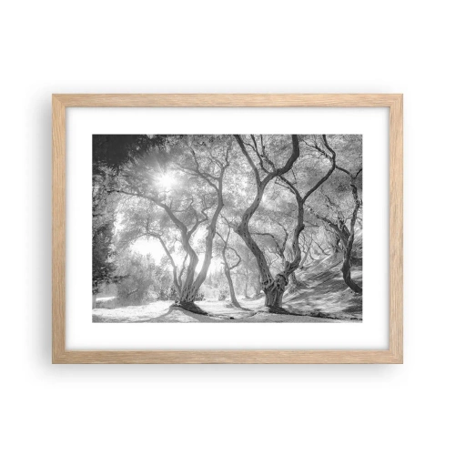 Plakat w ramie jasny dąb - W oliwnym gaju - 40x30 cm