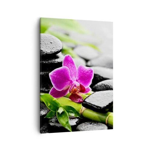 Obraz na płótnie - Orchidea na czarnych kamieniach i bambusie - 50x70cm - W spokojnej równowadze - Nowoczesna dekoracja ścienna do salonu, kuchni i sypialni ARTTOR