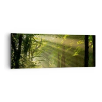 140x50 cm | Panorama