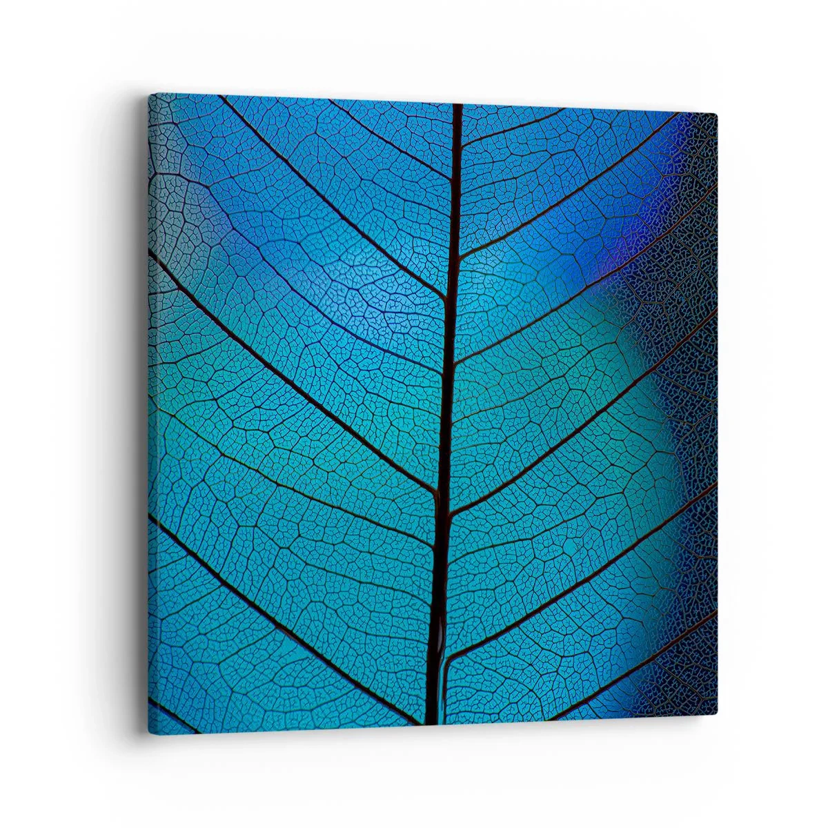Obraz na płótnie - Misterna budowa - 40x40 cm
