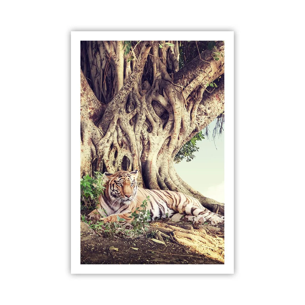 Plakat - Widok z Księgi Rodzaju - 61x91 cm