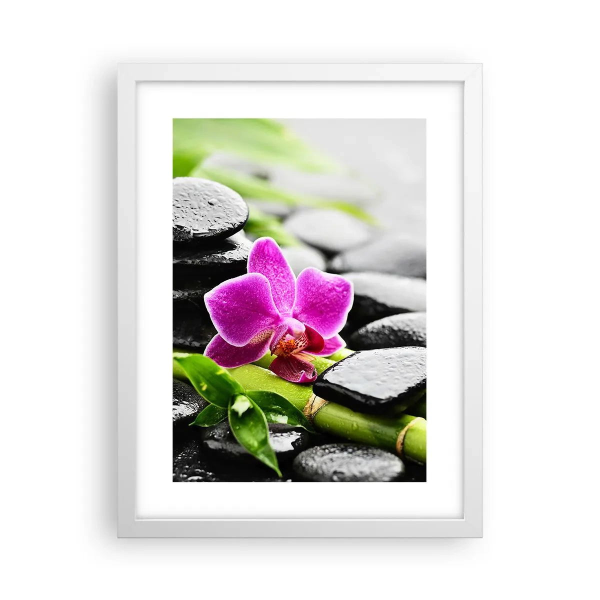 Plakat w białej ramie - W spokojnej równowadze - 30x40 cm