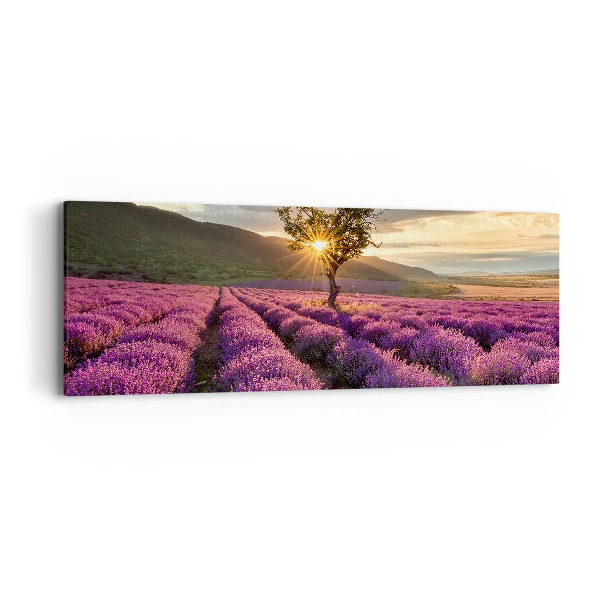 Obraz na płótnie - Aromat w kolorze lila - 90x30 cm
