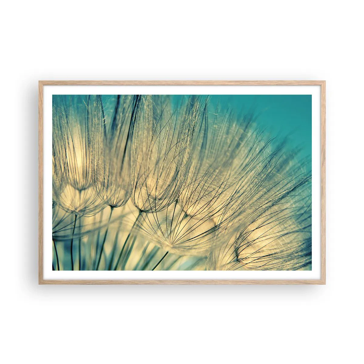 Plakat w ramie jasny dąb - W oczekiwaniu na wiatr - 100x70 cm