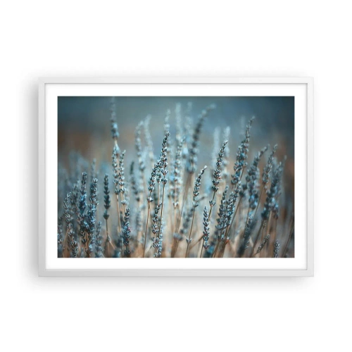 Plakat w białej ramie - Pachnący łan - 70x50 cm