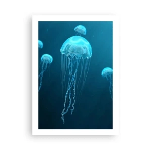 Plakat - Meduzy unoszące się w błękitnych wodach oceanu - 50x70cm - Oceaniczny taniec - Nowoczesna dekoracja ścienna do salonu, kuchni i sypialni ARTTOR