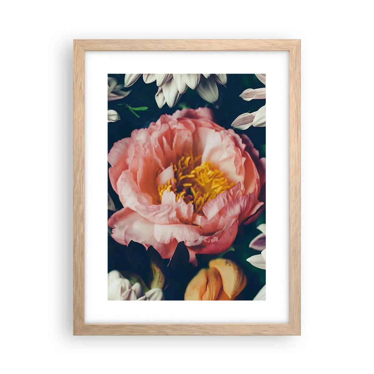 Plakat w ramie jasny dąb - Z barokowym przepychem - 30x40 cm