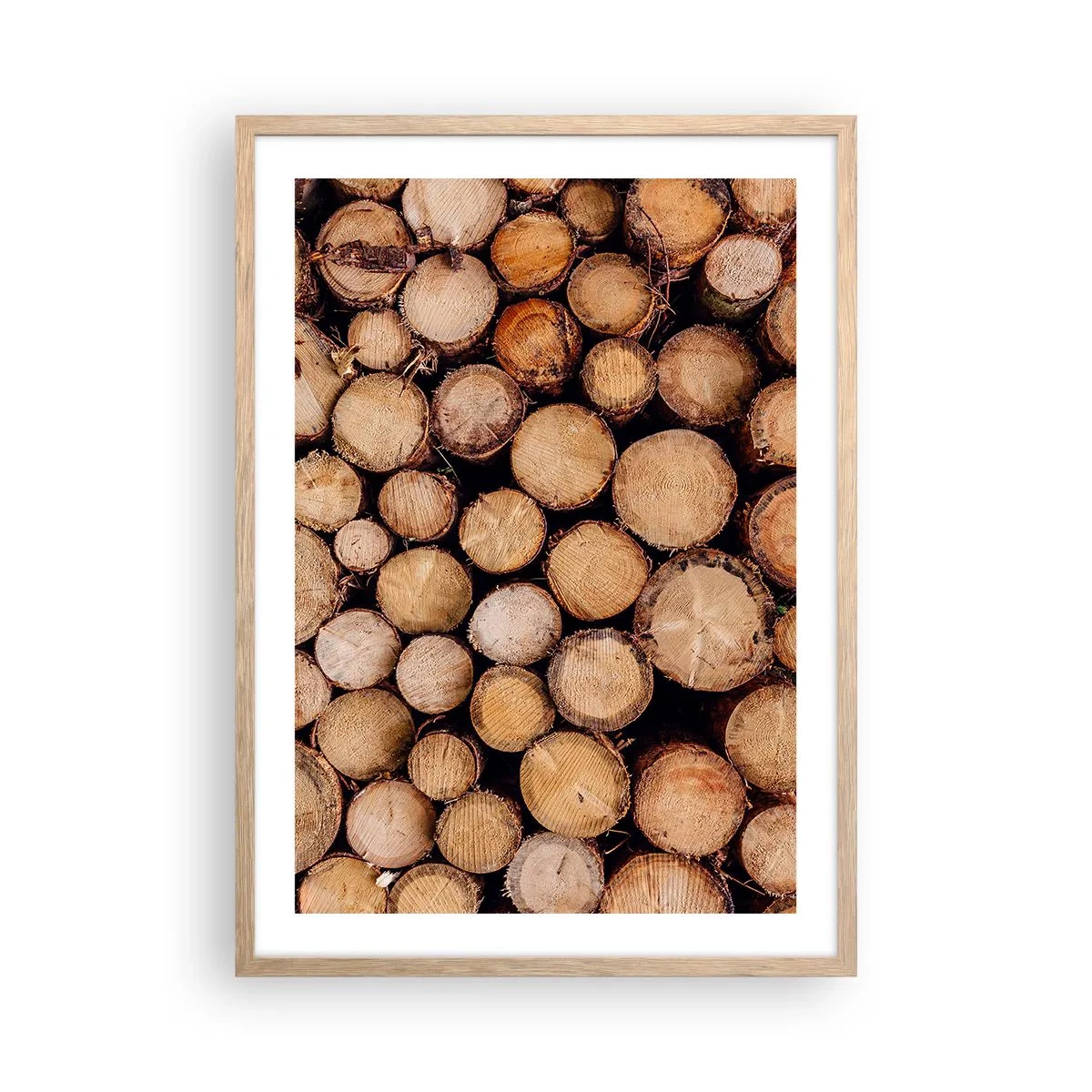 Plakat w ramie jasny dąb - Nowy początek - 50x70 cm