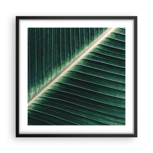 Plakat w czarnej ramie - Rytm natury - 50x50 cm