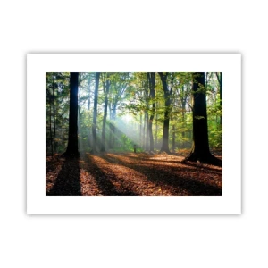 Plakat - Blaski i cienie - 40x30 cm