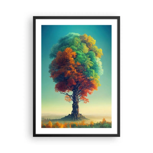 Plakat w czarnej ramie - Drzewo w barwach czterech pór roku - 50x70cm - Dąb – ojciec natury - Nowoczesna dekoracja ścienna do salonu i sypialni ARTTOR