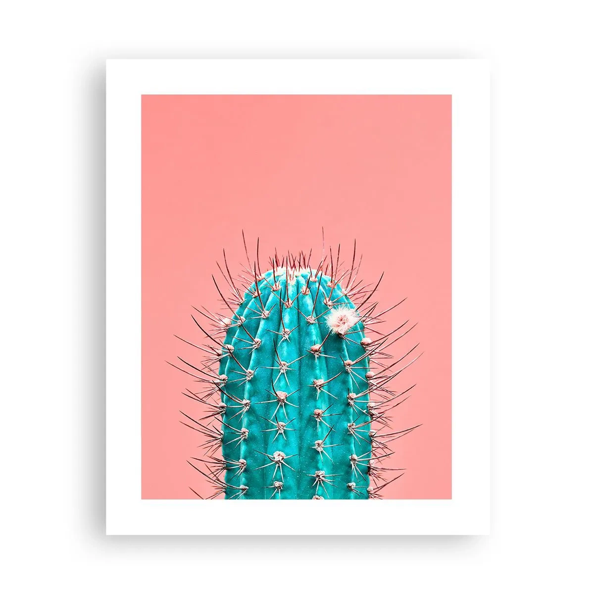 Plakat - Tylko patrz - 40x50 cm
