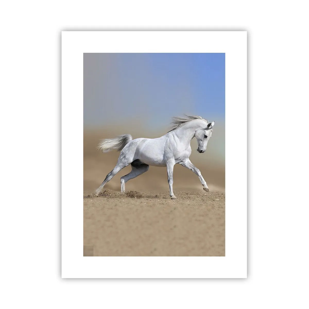 Plakat - Najpiękniejsza arabska baśń - 30x40 cm