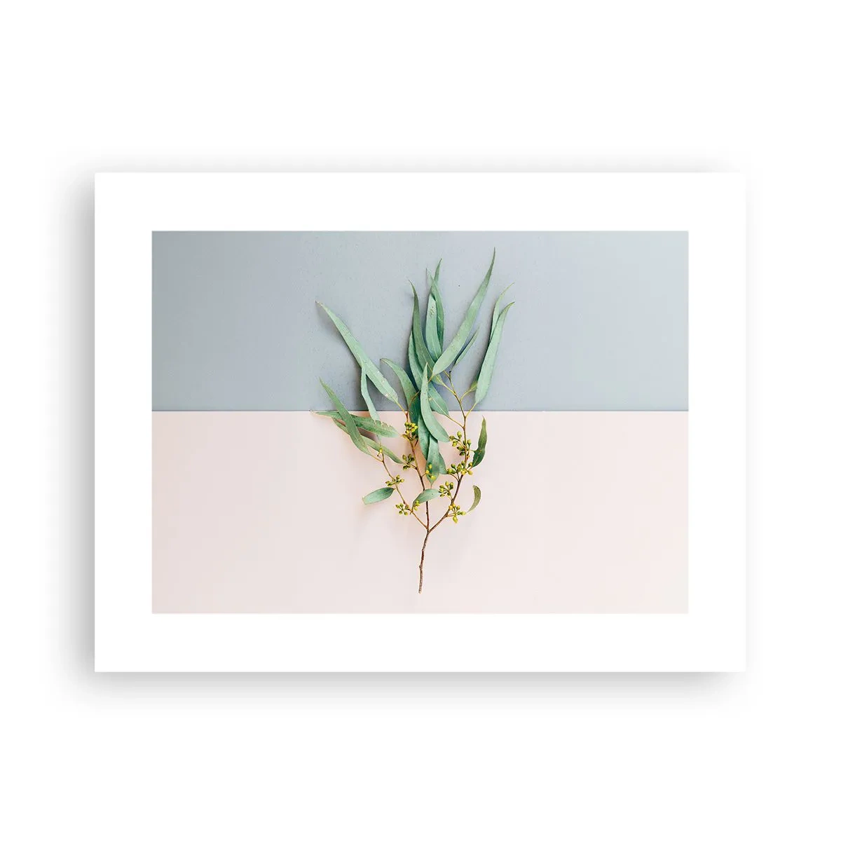 Plakat - Pastelowa subtelność - 40x30 cm