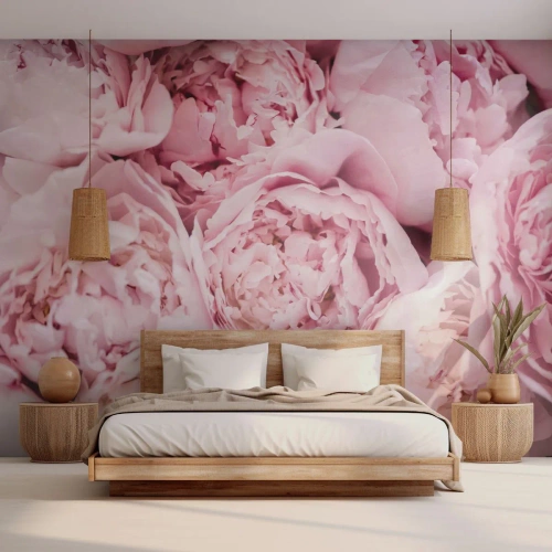 Fototapeta Premium Sand - Zbliżenie na delikatne, jasnoróżowe kwiaty piwonii - 100x70cm - Przytulone i pachnące - Nowoczesna dekoracja ścienna do salonu, kuchni i sypialni ARTTOR