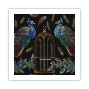 Plakat - W królewskich szatach - 50x50 cm
